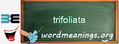 WordMeaning blackboard for trifoliata